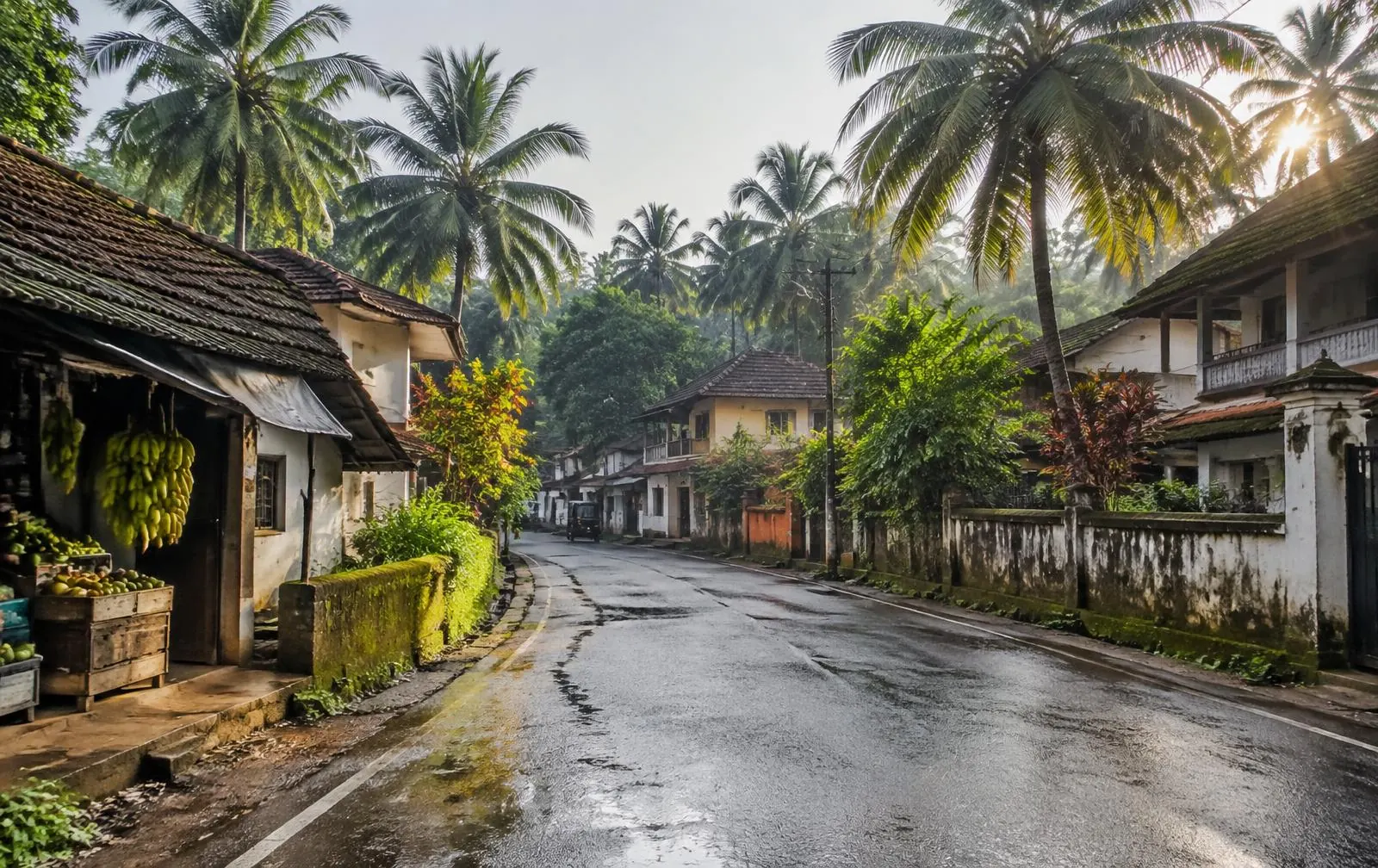 A village road framed by coconut palms in North Malabar, Kerala